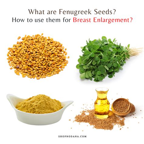 How to Use Fenugreek For Breast Enlargement.